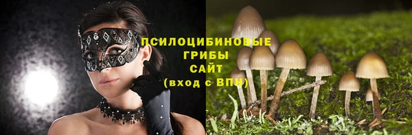 молекула духа Аркадак