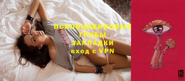 молекула духа Аркадак