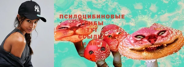 a pvp Армянск
