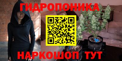 наркотики Камышлов