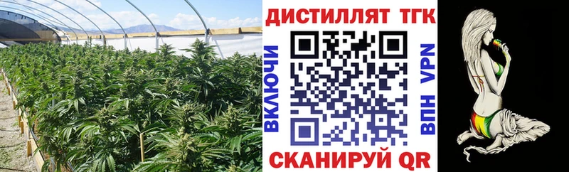 ссылка на мегу сайт  Мичуринск  Дистиллят ТГК гашишное масло 