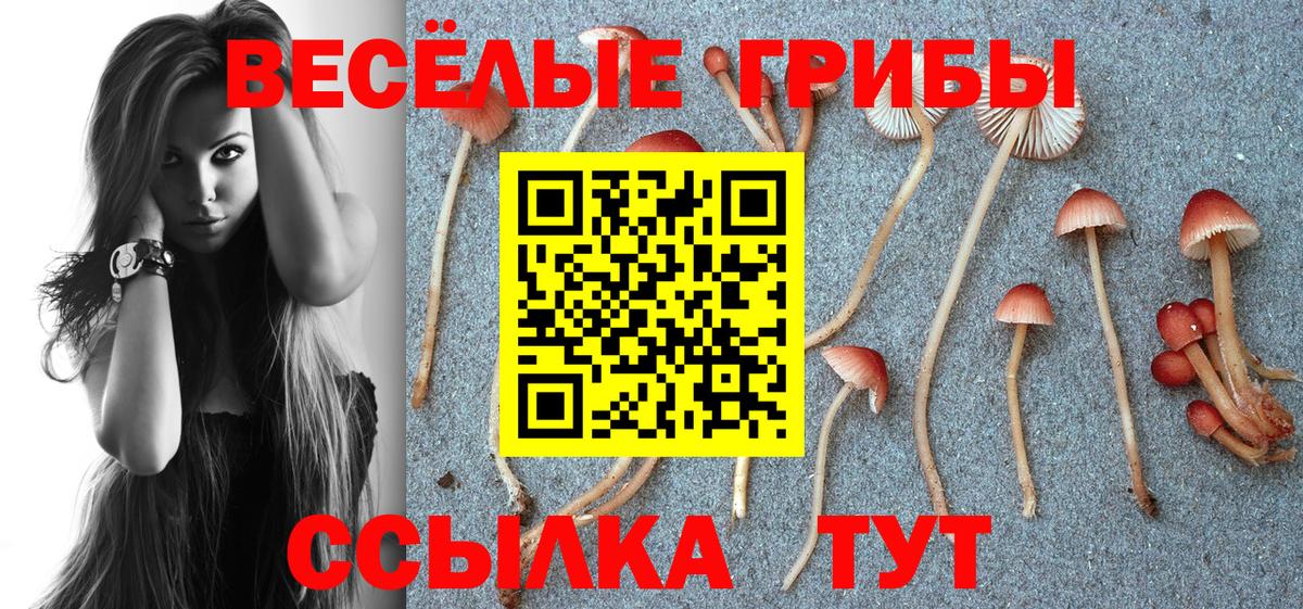 Псилоцибиновые грибы GOLDEN TEACHER Мичуринск