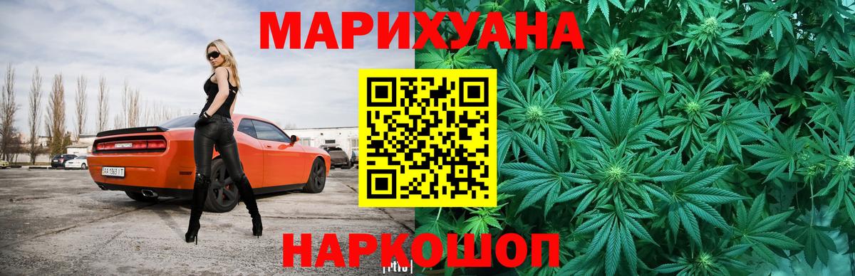 Бошки марихуана сатива  Вход с VPN  Мичуринск  Каннабис семена  Марихуана Ganja  Бошки марихуана планчик 